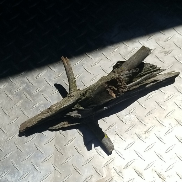 Drift Wood - Picture 4 of 5